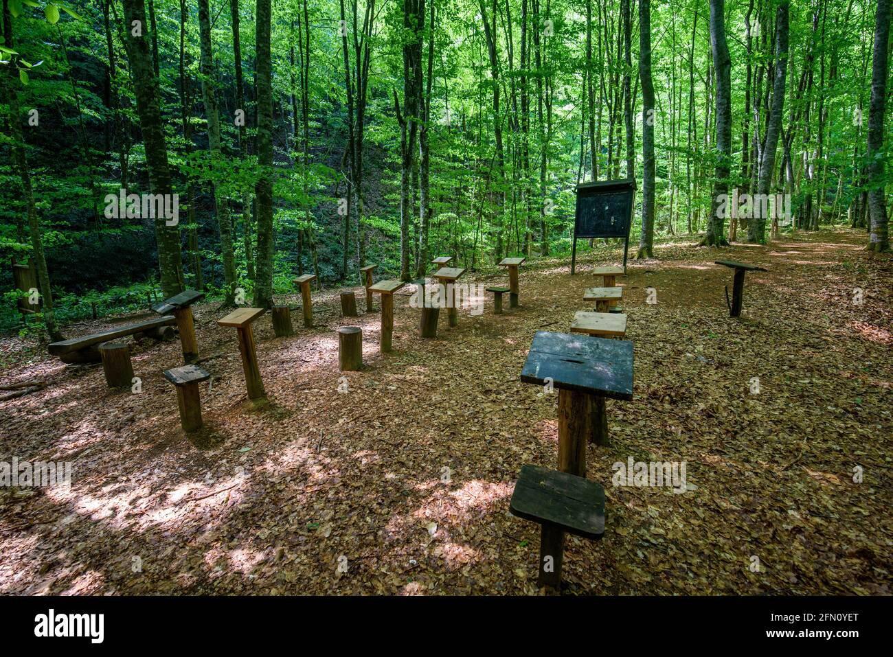 Empty outdoor classroom in forest with black classic chalk board and school desks and benches for students with trees as backdrop at spring Stock Photo