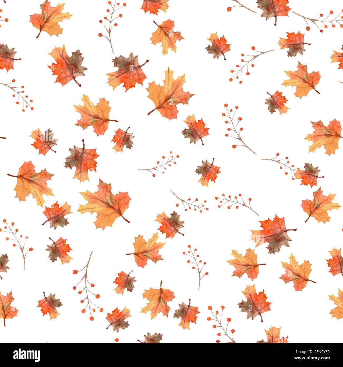 Seamless autumn leaves background, berries on white isolated background ...