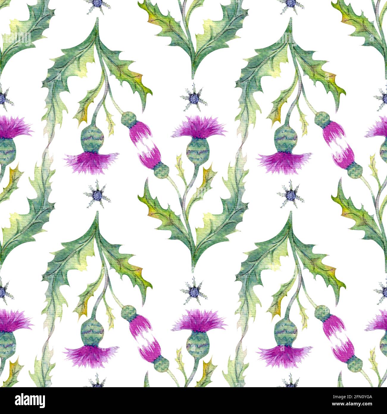 Seamless pattern with wildflowers and leaves on white background ...
