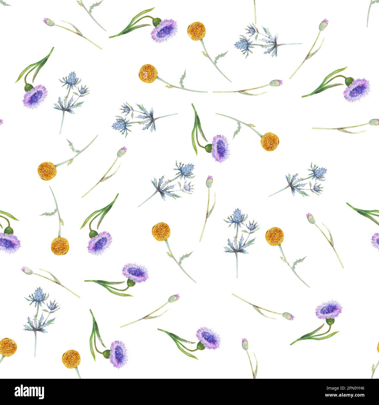Seamless pattern with wildflowers and leaves on white background ...