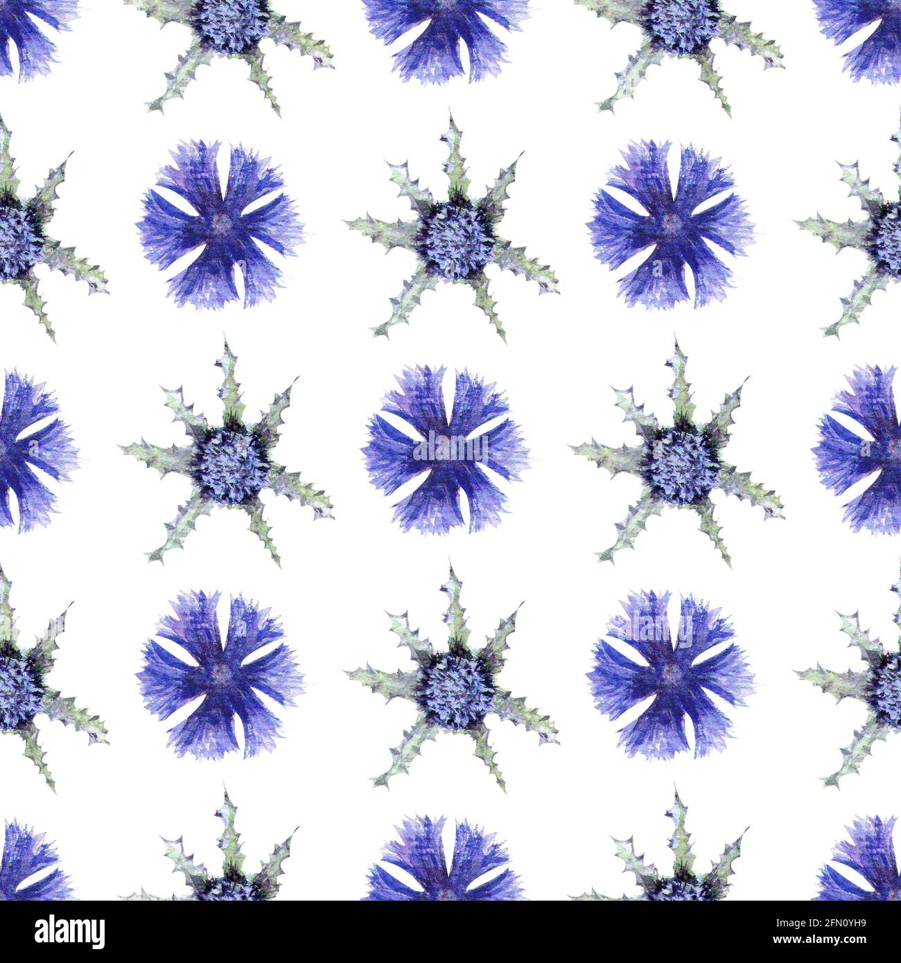 Seamless pattern with wildflowers on white background. Floral pattern ...