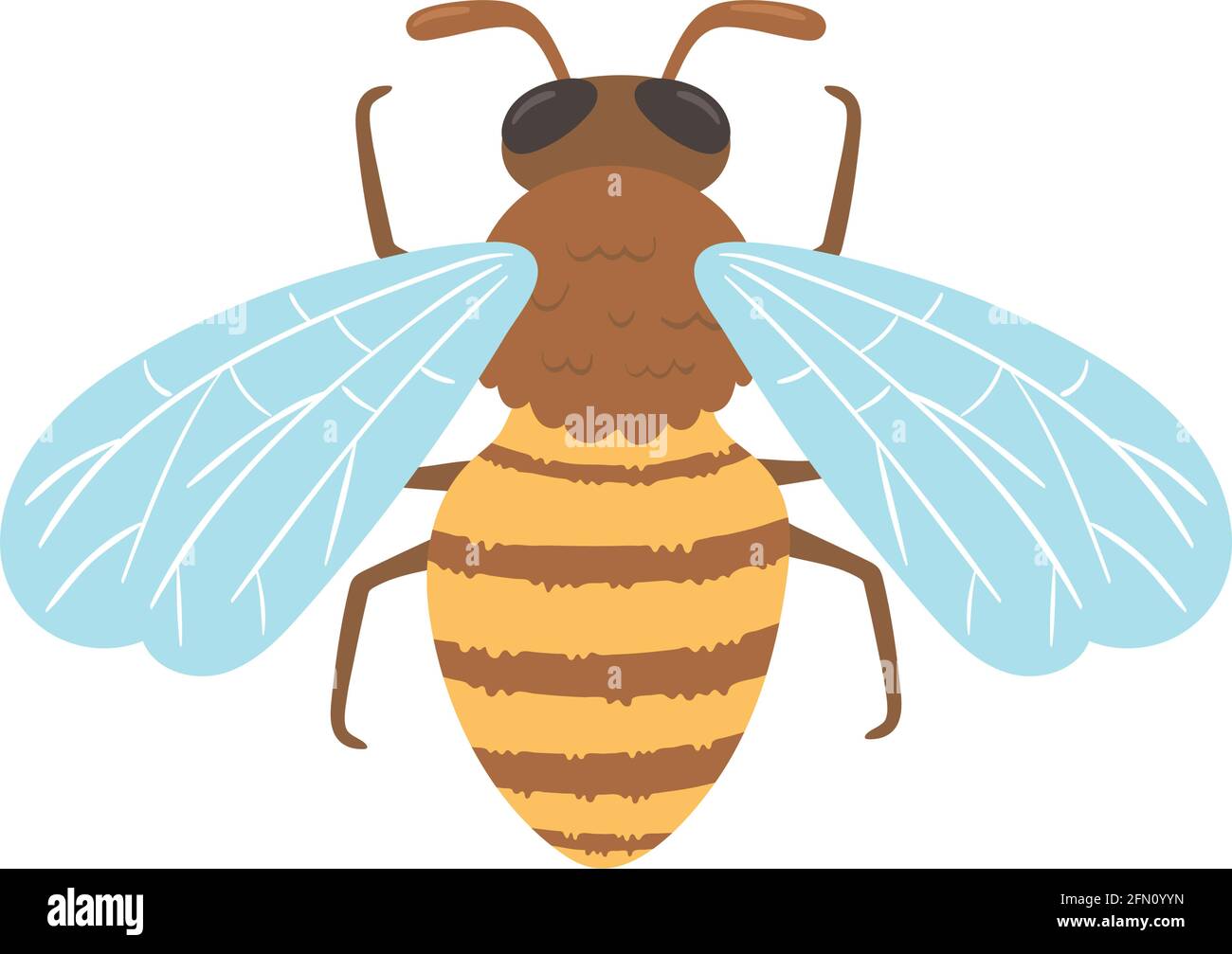 bee insect icon Stock Vector Image & Art - Alamy
