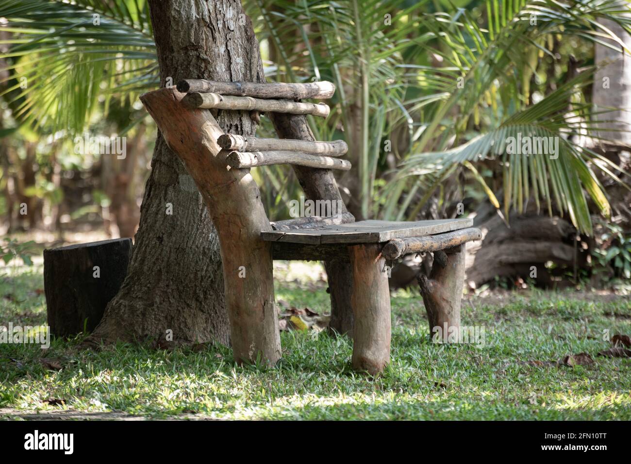 Handmade wooden log bench under the tree, perfect spot for sitting and