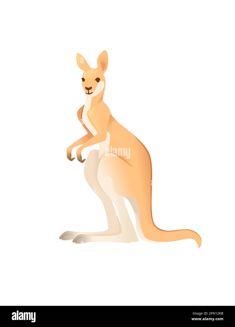 Cute adult kangaroo australian animal cartoon animal design vector ...