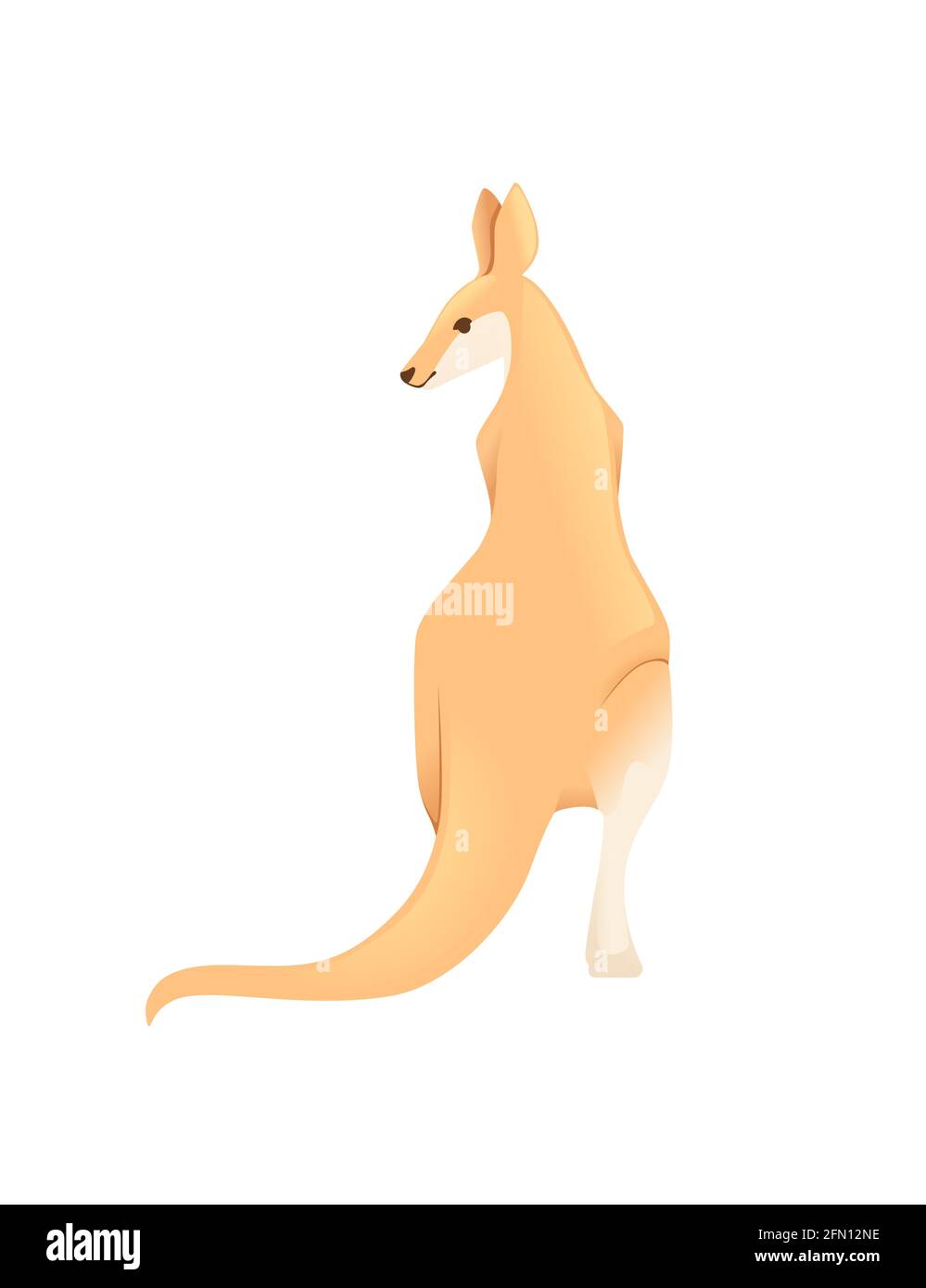 Cute adult kangaroo australian animal cartoon animal design vector ...