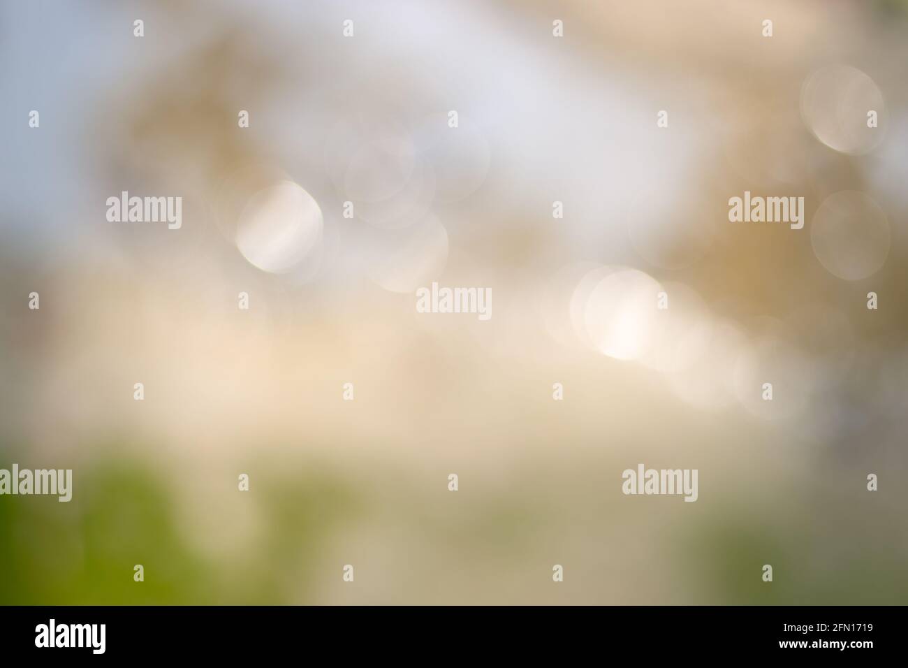 Soft defocused background hi-res stock photography and images - Alamy