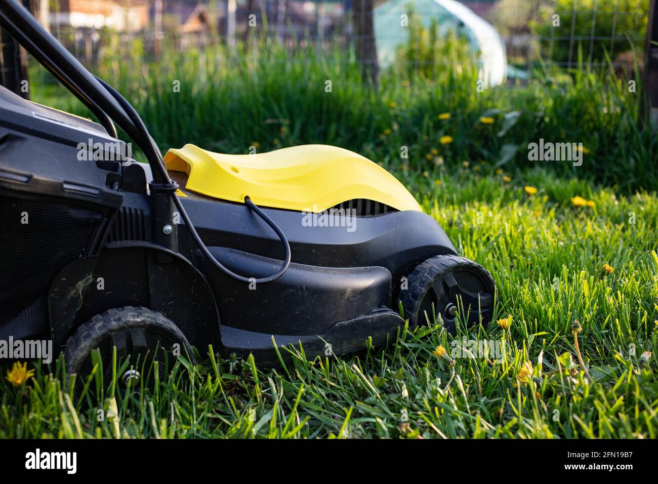 top view of yellow lawn mower in green grass Stock Photo - Alamy