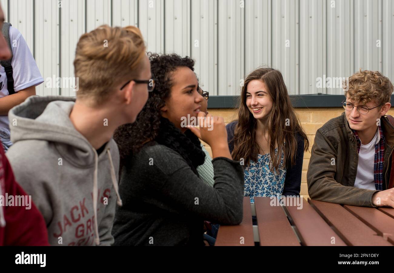 Sixth Form Students, Young people in education, group of young students in 6th form, break time in 6th Form, students chatting during break time Stock Photo