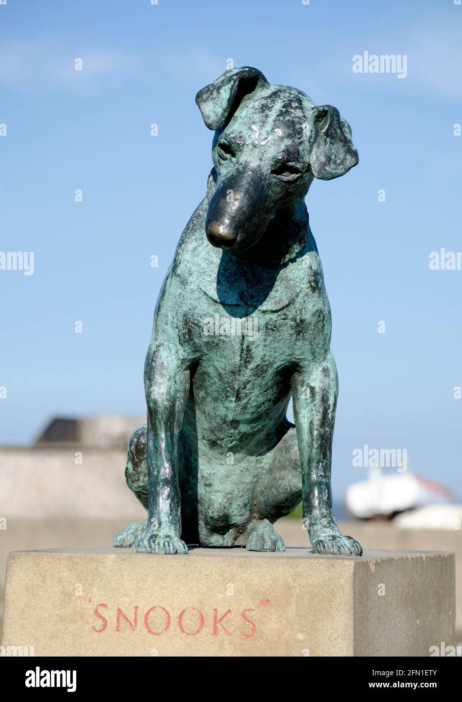 Aldeburgh dog hires stock photography and images Alamy