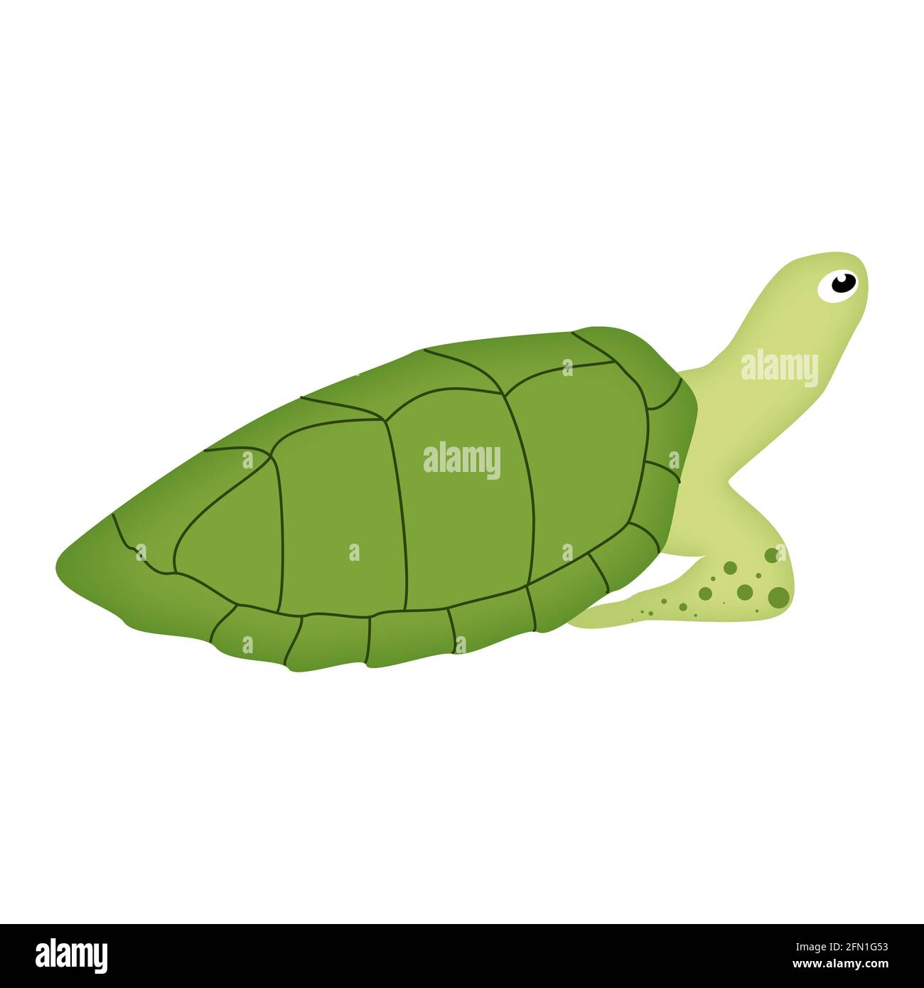Cute cartoon green turtle character Stock Vector Image & Art - Alamy