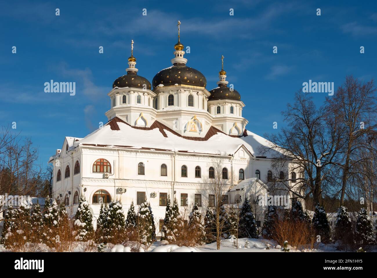 Church of Xenia of St. Petersburg in the Nikolo-Solbinsky Monastery,  Pereslavsky district, Yaroslavl region on a sunny winter day Stock Photo -  Alamy