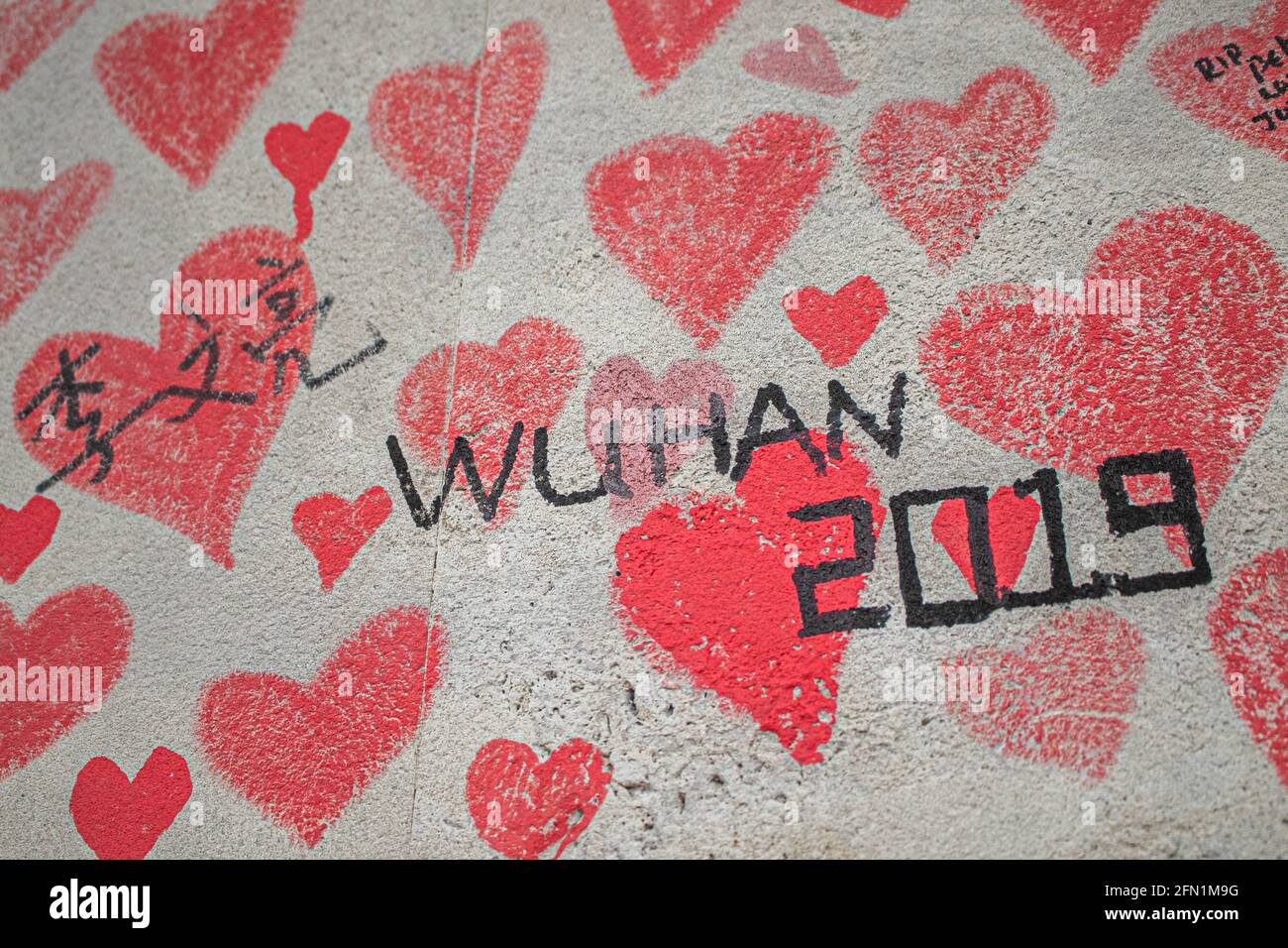 WESTMINSTER LONDON 13 May 2021.  Wuhan 2019 where the pandemic originated is written on The wall of hearts at the National Covid Memorial Wall along the Thames embankment dedicated to bereaved families for Justice UK. Prime Minister Boris Johnson has announced  to hold an independent  public inquiry which will be held in 2022 into the government’s handling of the coronavirus pandemic that  has claimed 150,000 lives and to appoint a chair and  panellists.  Credit amer ghazzal/Alamy Live News Stock Photo