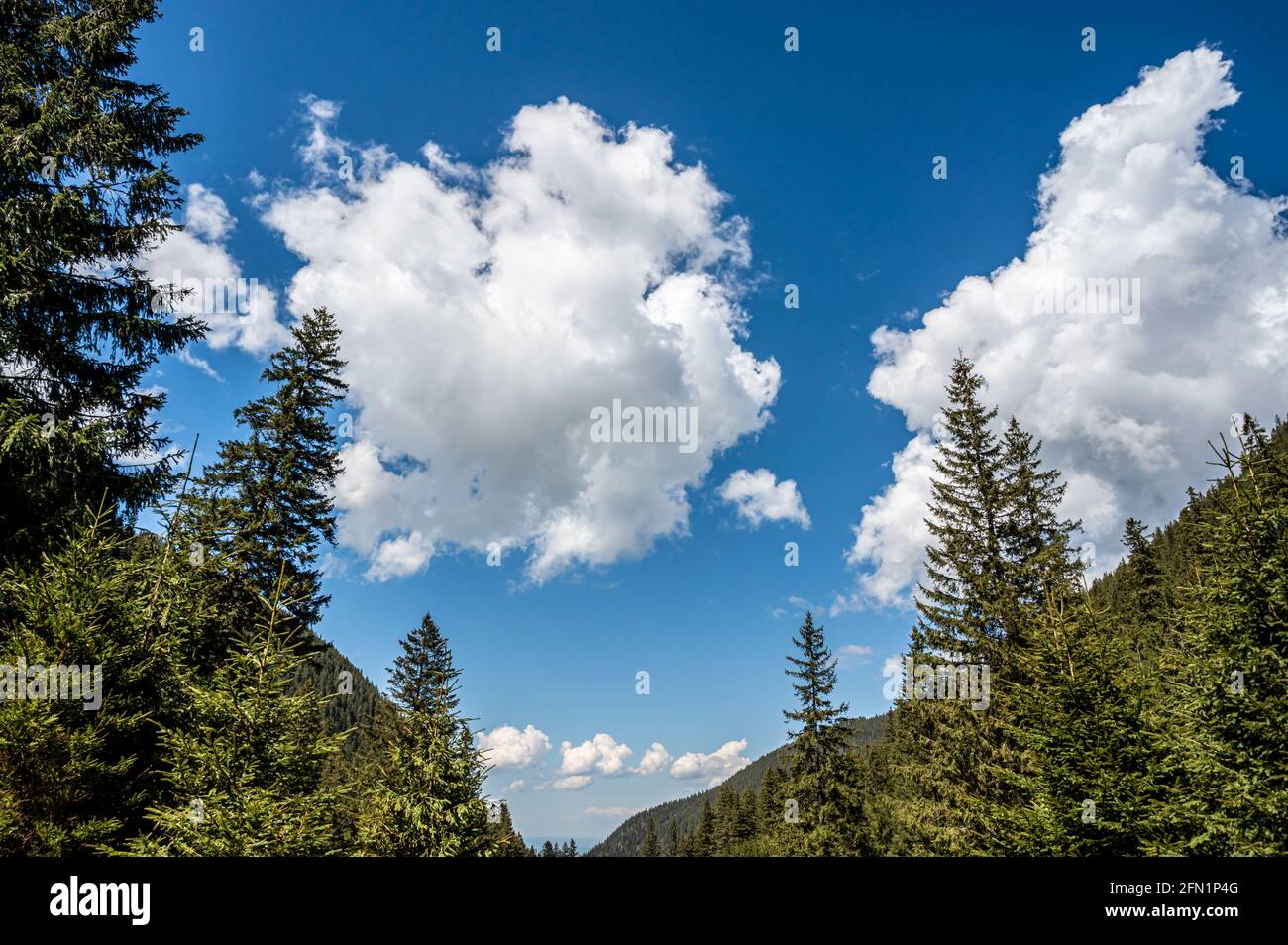 White cumulus clouds on the blue bright sky Stock Photo