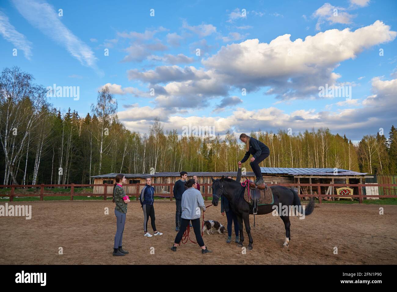 Russia, Moscow region, May 2021. A teenage girl is studying horse riding at an equestrian school. A girl stands on the back of a horse. Stock Photo
