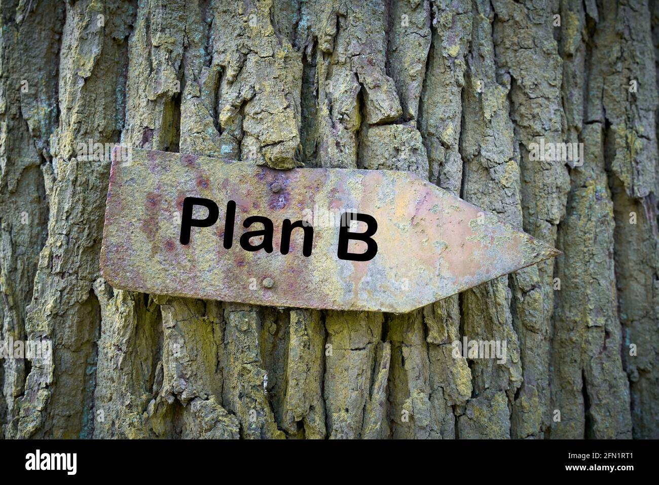 rusty old sign on a tree in the forest with the text Plan B Stock Photo