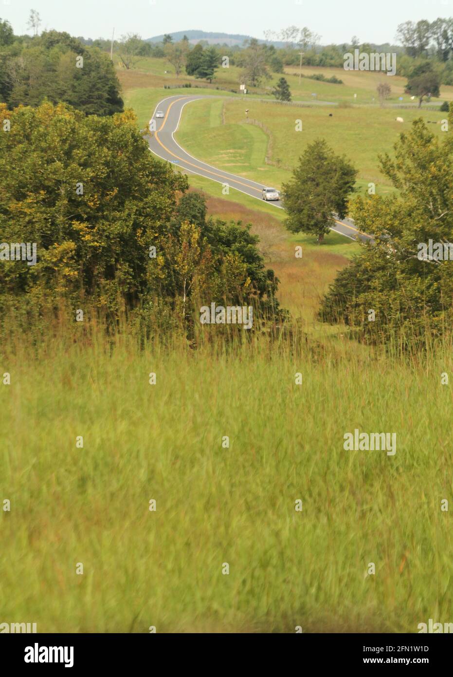 Landscape in Appomattox, VA, with State Road 24 running over a hilly land. Stock Photo