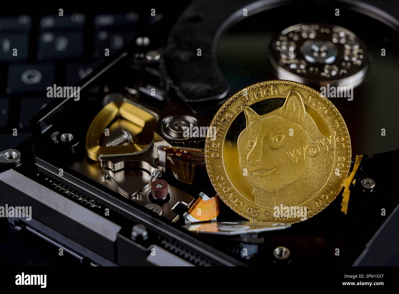 The digital process of cryptocurrency mining by using the GPUs. Bitcoins  and video card on a working display and mining screen Stock Photo - Alamy