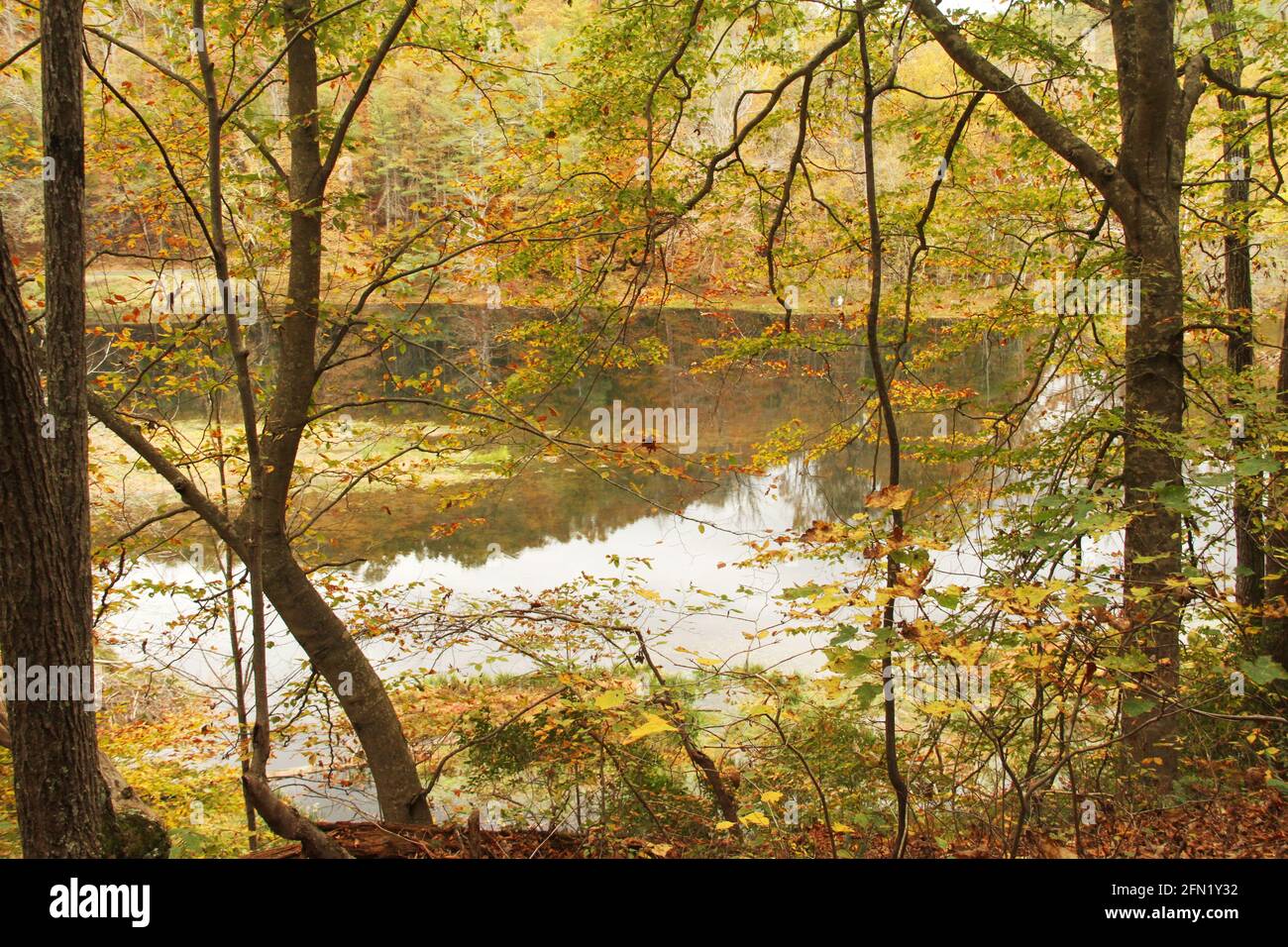 Autumn in the Blue Ridge Mountains, VA, USA. Otter Lake on the Blue