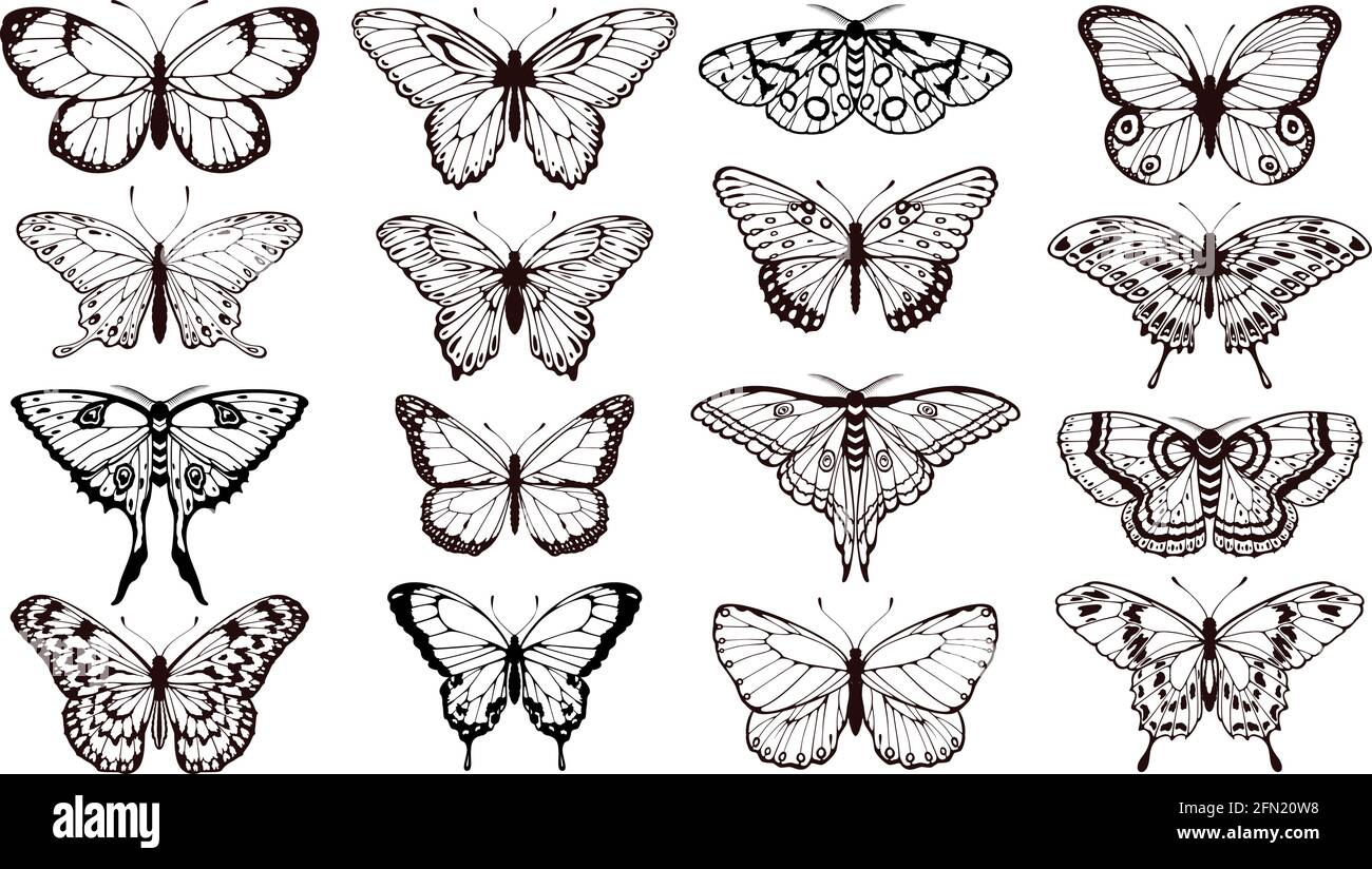 butterfly-silhouette-tattoo-designs