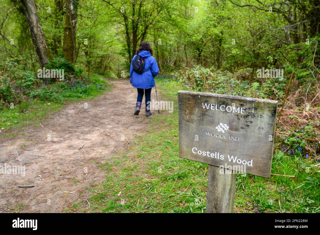 A woman walking past sign to Costells Wood, Scaynes Hill, ancient woodland with a variety of broadleaf trees and ground flora in West Sussex, England. Stock Photo