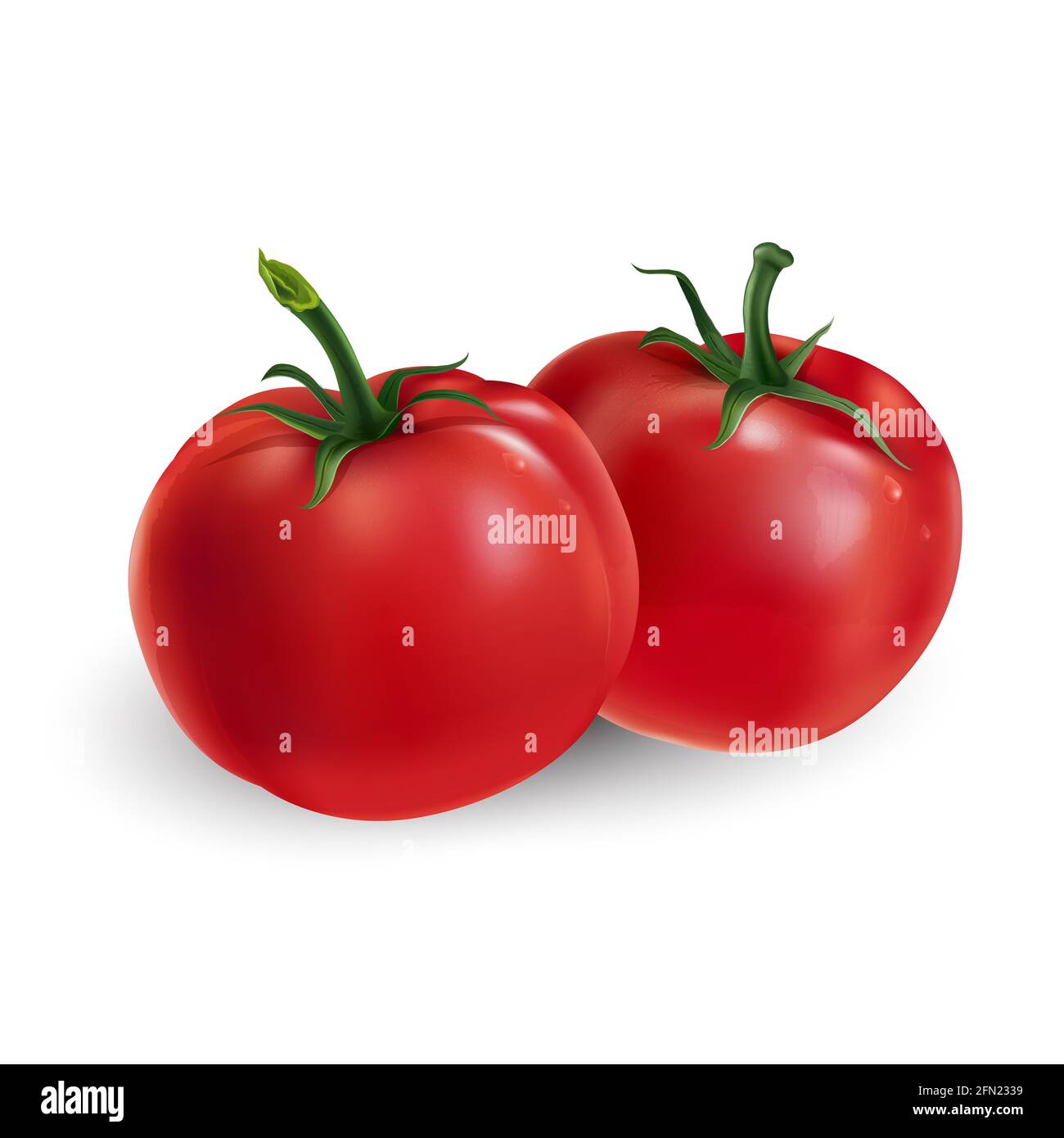 Two red tomatoes on a white background. Stock Photo