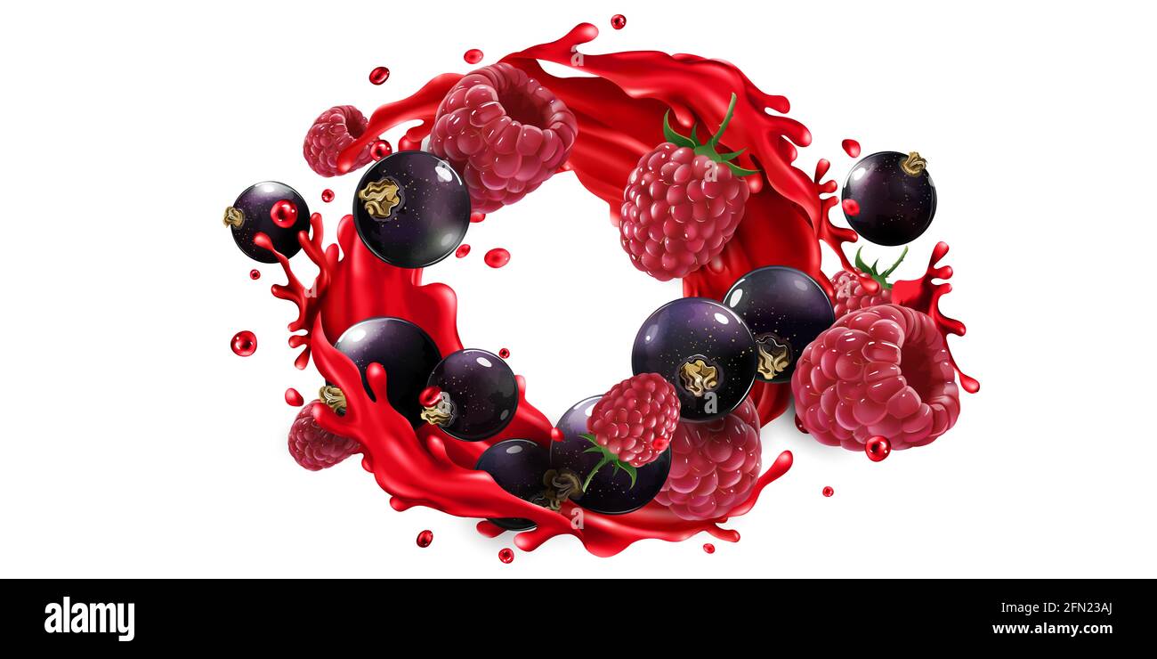 https://c8.alamy.com/comp/2FN23AJ/black-currants-raspberries-and-fruit-juice-splash-2FN23AJ.jpg