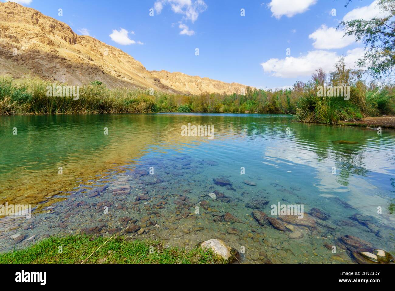 View of a brackish water pool, with desert cliffs, in Einot Tzukim (Ein Feshkha) Nature Reserve, on the North West coast of the Dead Sea, Southern Isr Stock Photo