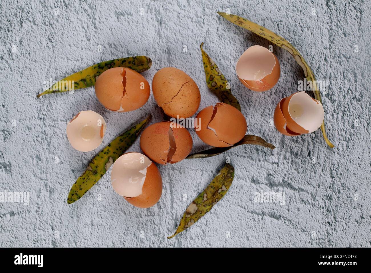 Top view of broken eggshells on a stone surface Stock Photo