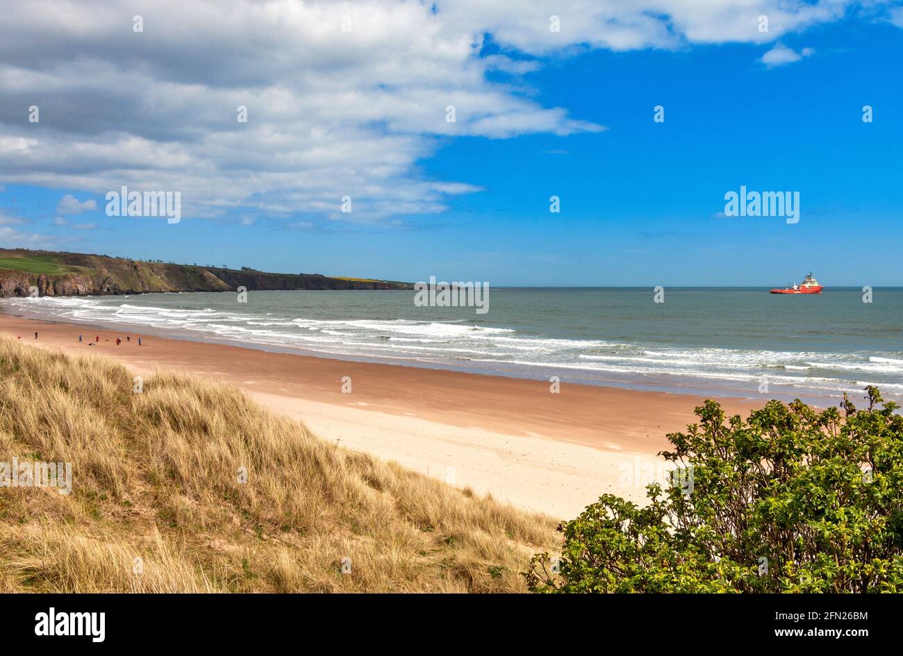 LUNAN BAY AND BEACH ANGUS SCOTLAND LOOKING SOUTH SANDY BEACH WITH PEOPLE AND SEA WITH OIL RIG SUPPORT VESSEL Stock Photo