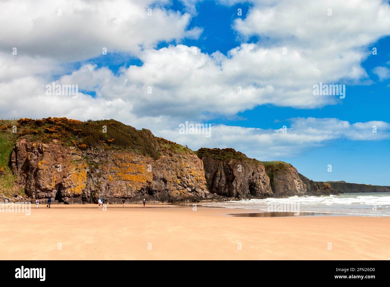 LUNAN BAY AND BEACH ANGUS SCOTLAND PEOPLE ON THE SOUTHERN END OF THE SANDY BEACH AND CLIFFS WITH TWO CAVES Stock Photo
