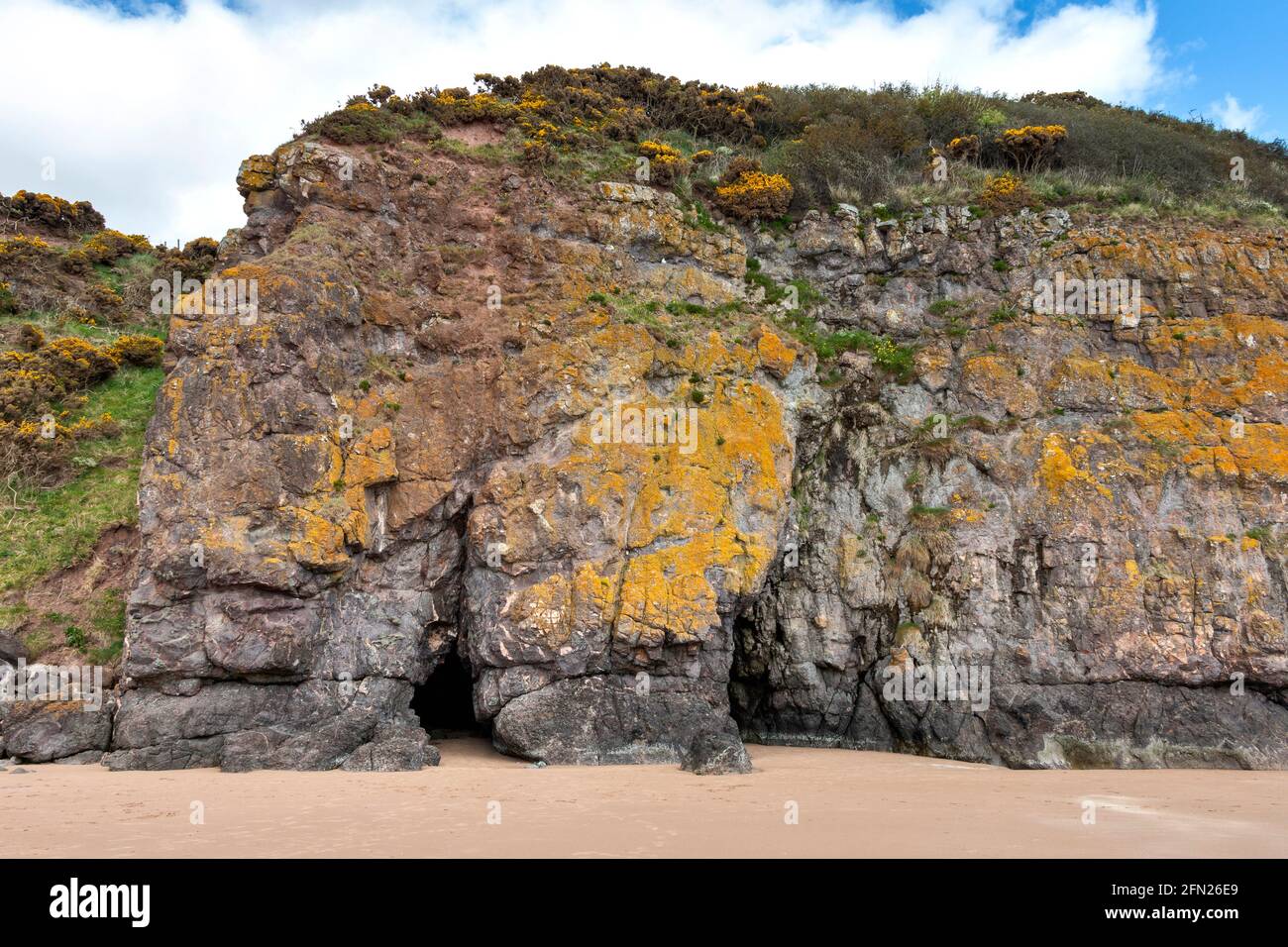 LUNAN BAY AND BEACH ANGUS SCOTLAND THE SOUTHERN END OF THE SANDY BEACH AND CLIFFS WITH TWO CAVES Stock Photo
