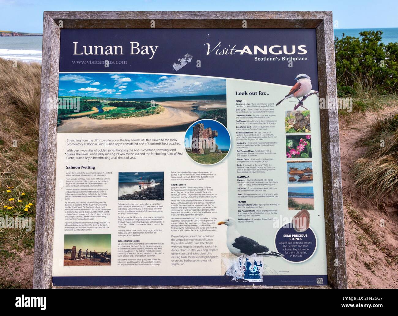 LUNAN BAY AND BEACH ANGUS SCOTLAND VISITOR INFORMATION SIGN NEAR THE BEACH Stock Photo