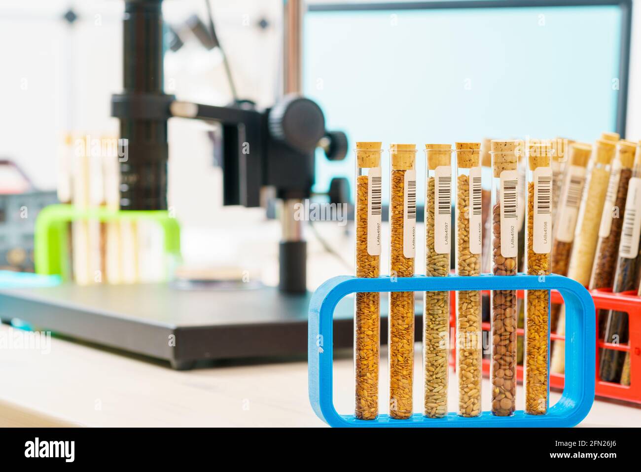 Research Analyzing Agricultural Grains And seeds In The Laboratory