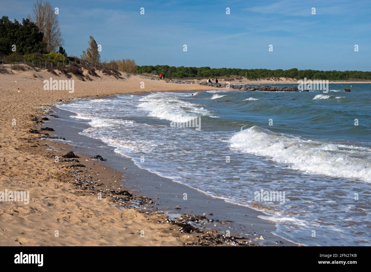 Boyardville beach, Ile d'Oleron, Charente-Maritime (17), Nouvelle-Aquitaine region, France Stock Photo