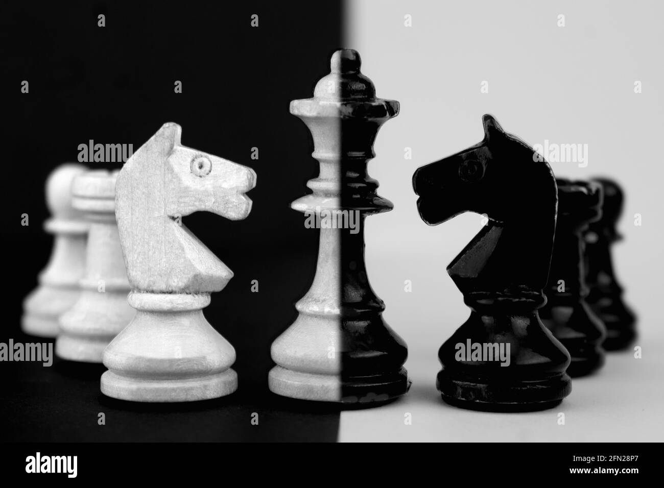 Chess horse hi-res stock photography and images - Alamy