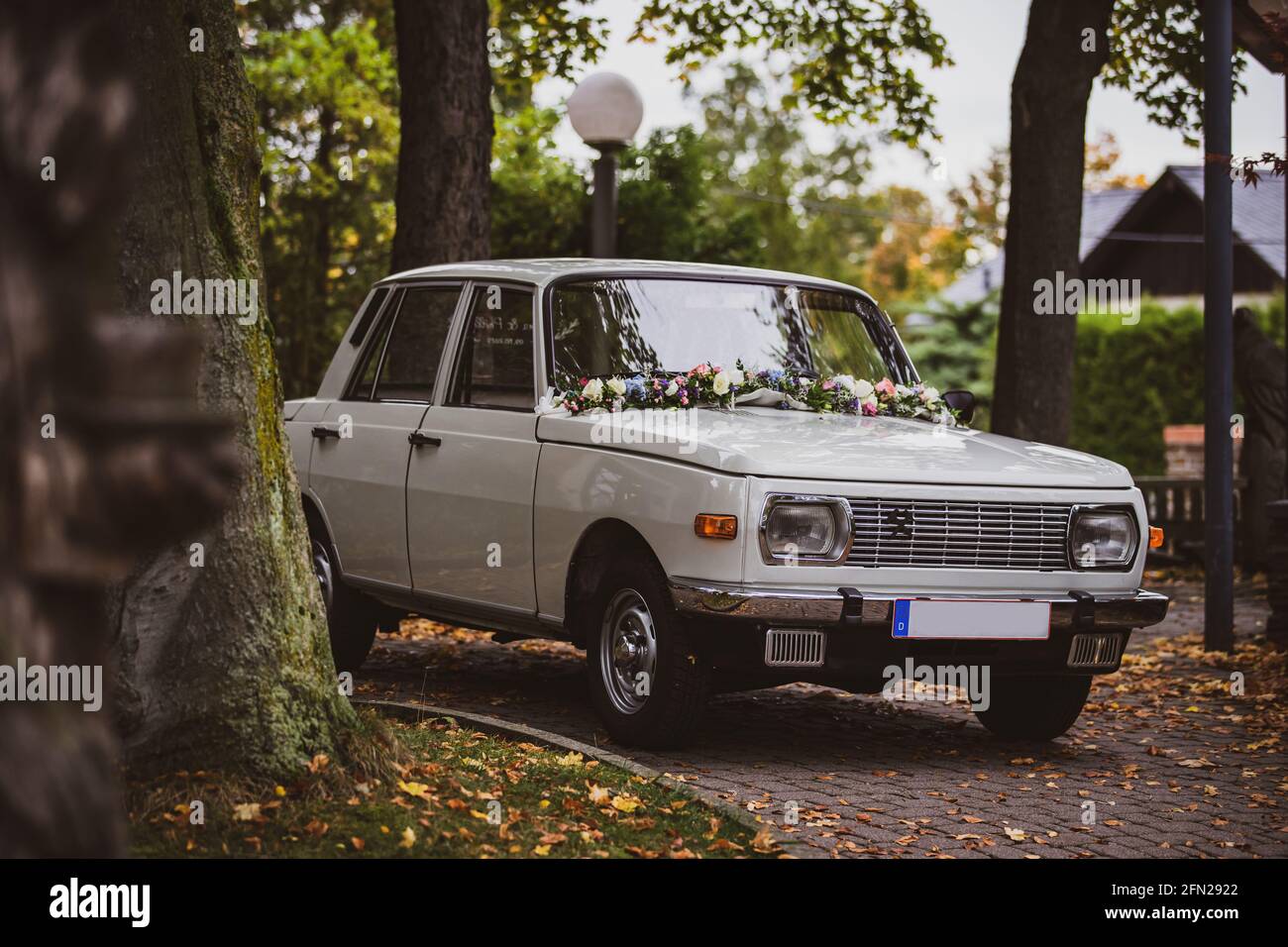 a wartburg 353 is parking in wood Stock Photo