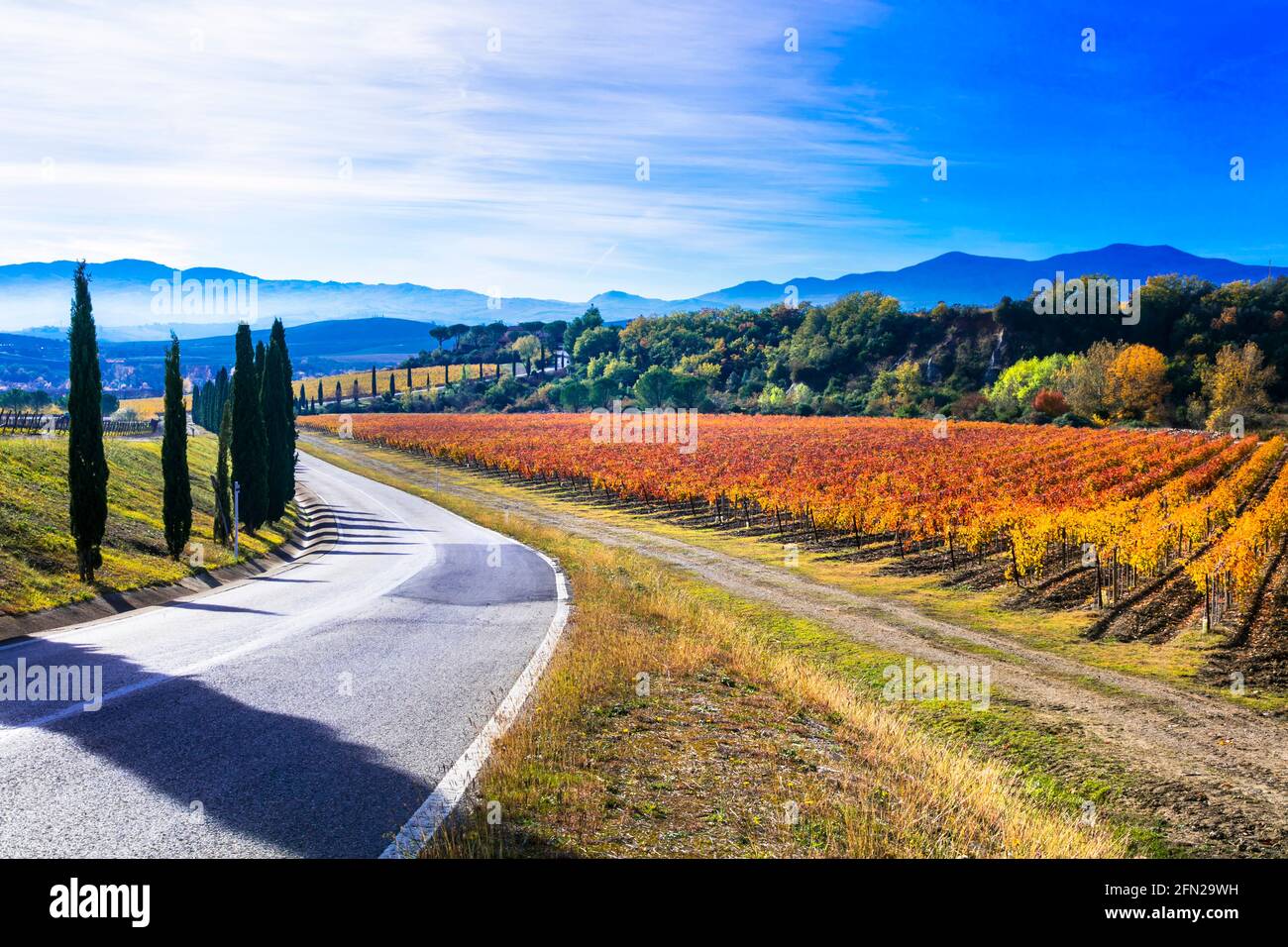 Autumn landscape. Rural scenery of  Tuscany countryside with autumn vineyards and cypresses on the road. Italy travel Stock Photo