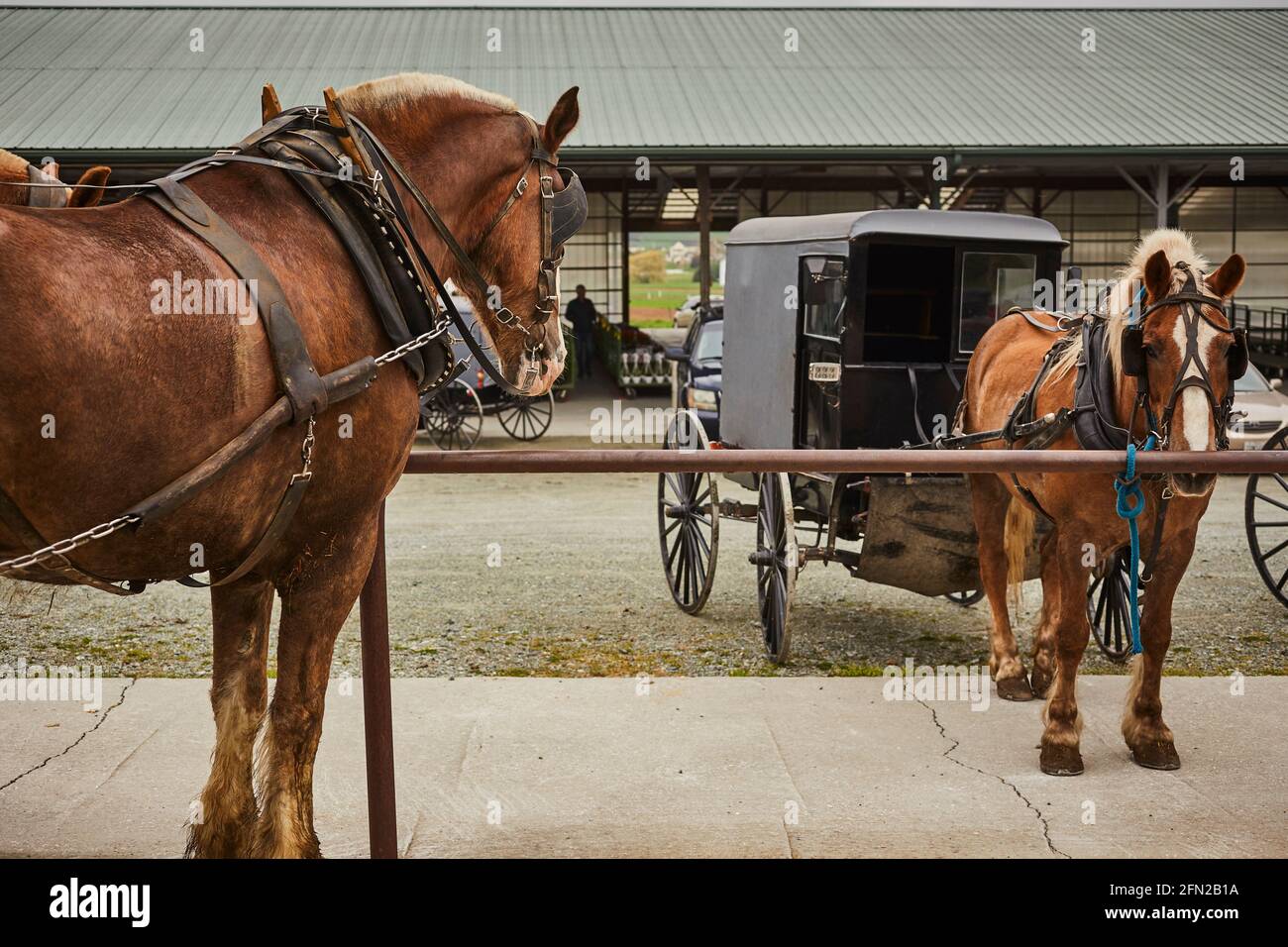 An Amish buggy parked at the Oxford Produce Auction in Oxford, Chester County, Pennsylvania, USA Stock Photo