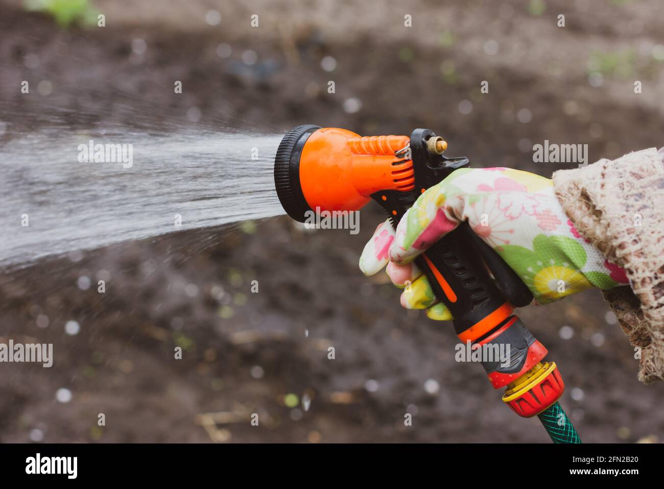 Watering Process Process watering garden hand hi-res stock photography and images - Alamy
