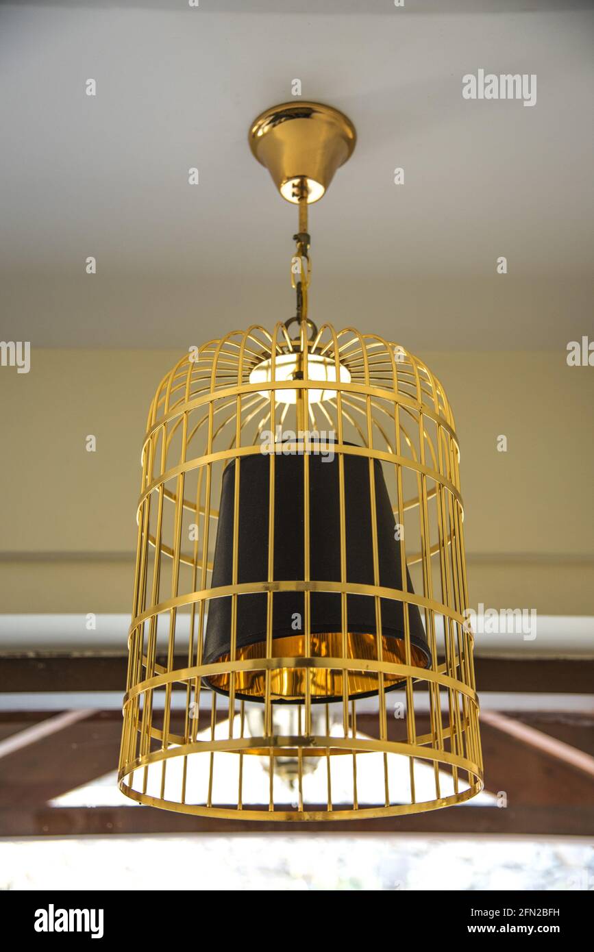 Picture of Vertical shot of a golden birdcage hanging from the ceiling with a ...