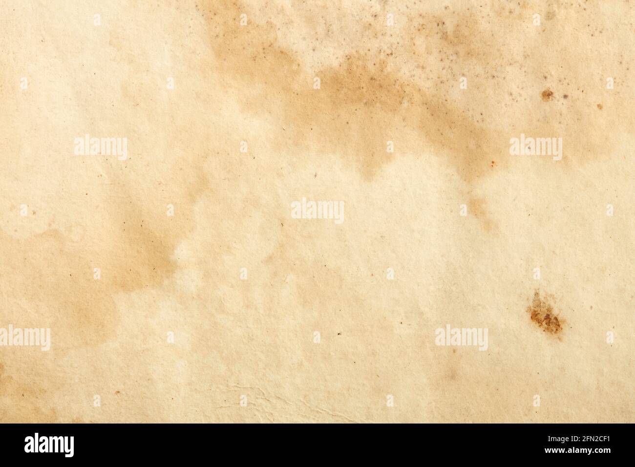 Old paper with sepia stains and mold texture background Stock Photo