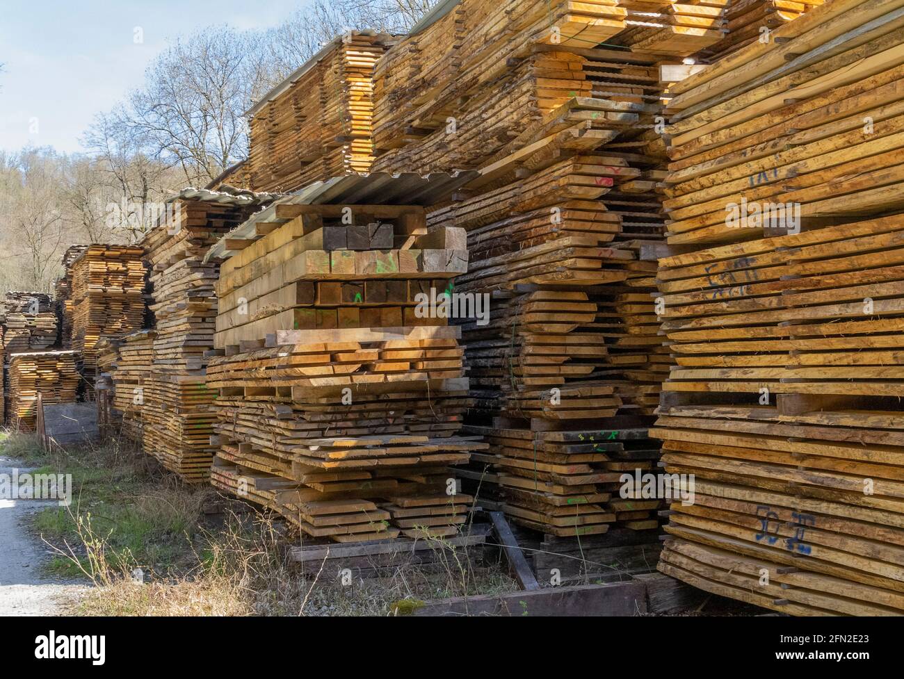 Lots of stacked wooden boards on a lumber yard in sunny ambiance Stock Photo