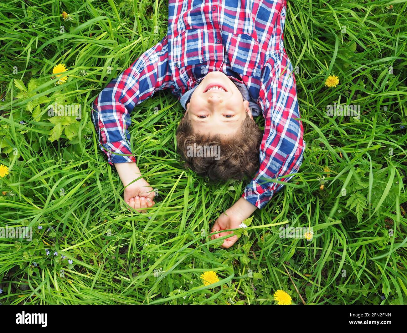 Happy little boy lies on the grass, dandelions and smiles Stock Photo