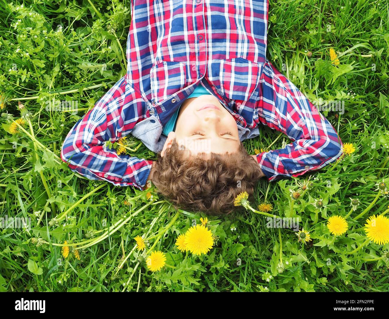 Happy little boy lies on the grass, dandelions and sleeps Stock Photo