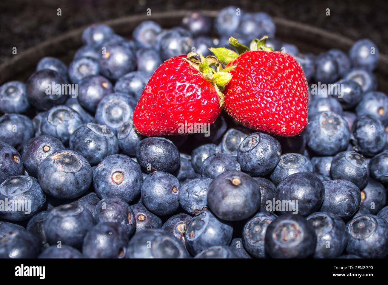 Two bright red strawberries on a large amount of blue berries Stock Photo