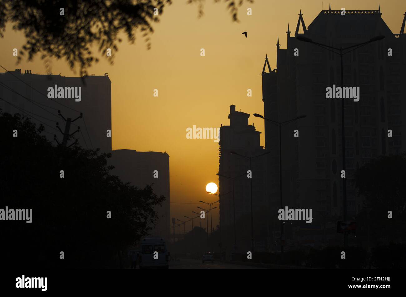Sunset in the city with silhouettes of tall buildings and leaves Stock ...