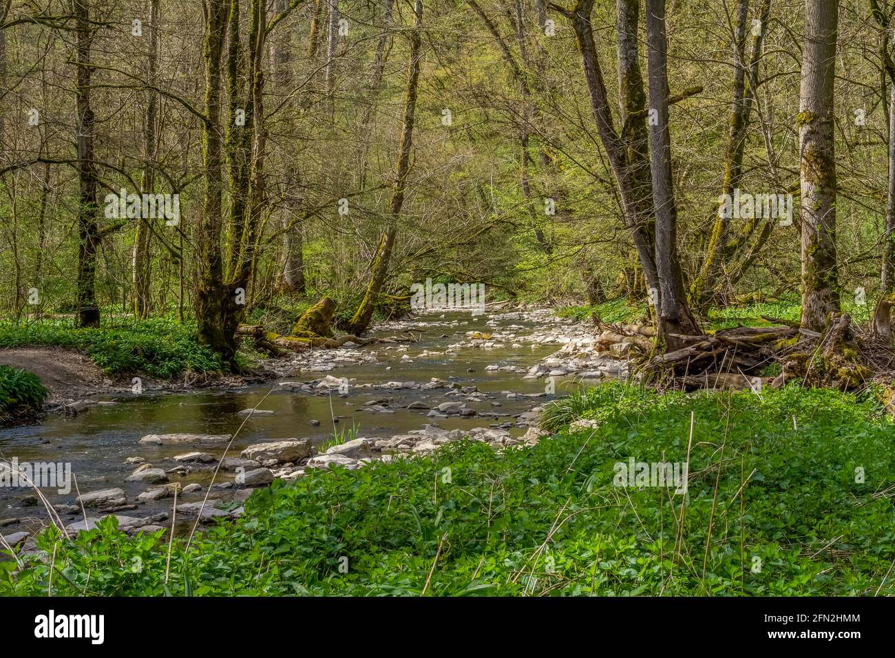 Idyllic scenery at river Kupfer in Hohenlohe, an area in Southern Germany at early spring time Stock Photo