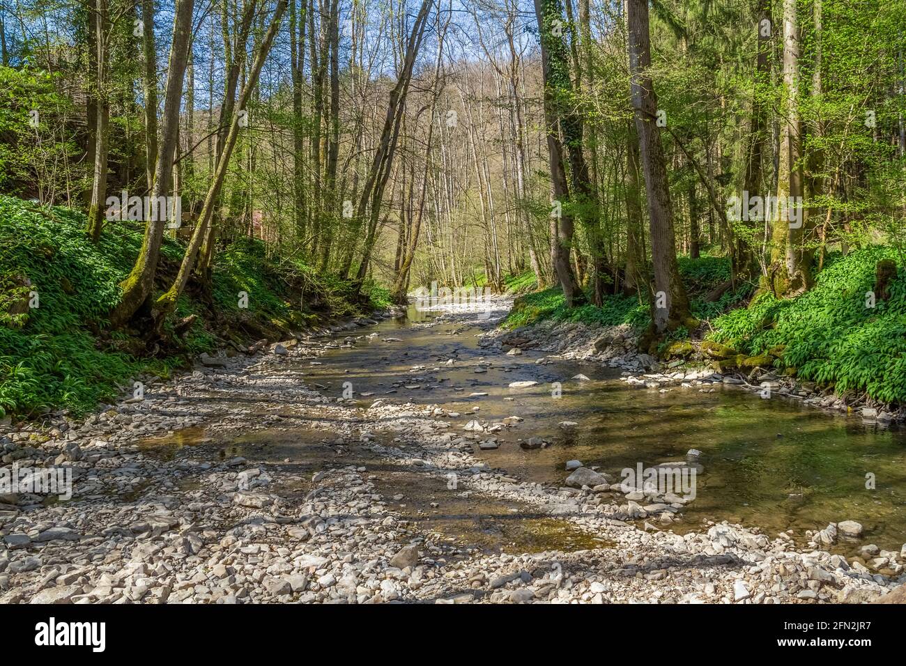 Idyllic scenery at river Kupfer in Hohenlohe, an area in Southern Germany at early spring time Stock Photo