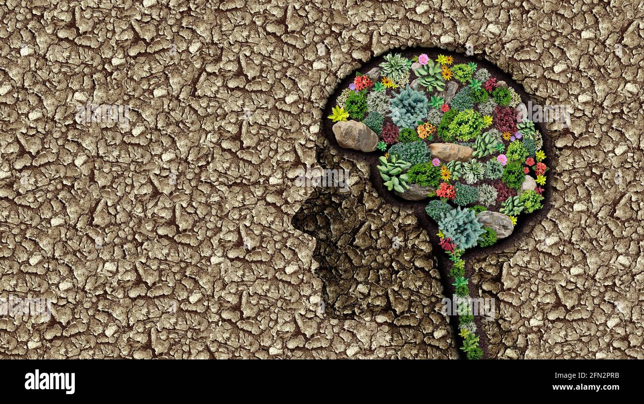Fertile imagination and healthy mind or mental health concept as a neurology or psychiatry and psychology symbol as a brain intelligence icon. Stock Photo