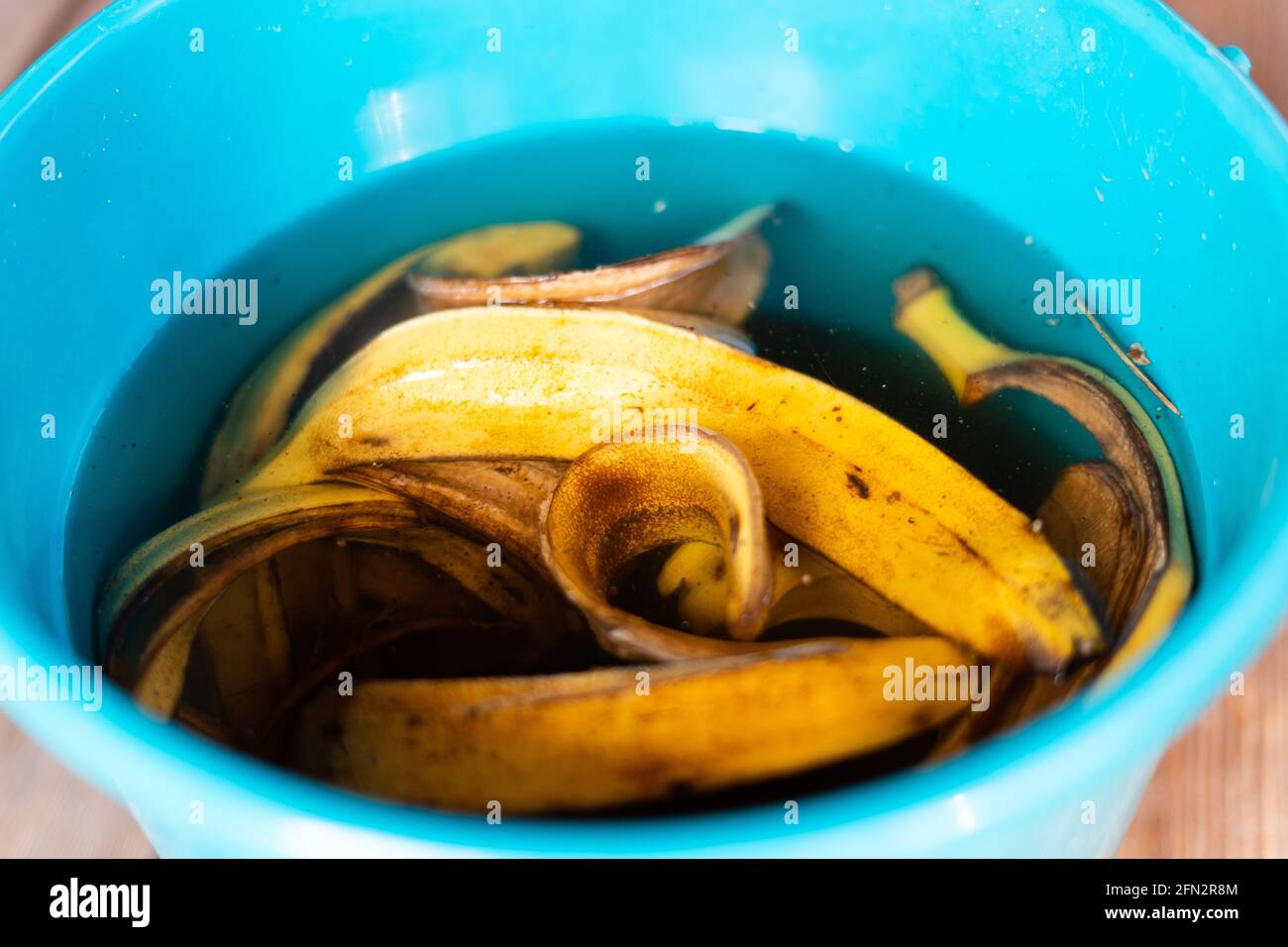 Preparation of organic fertilizer from banana peel soaked in water